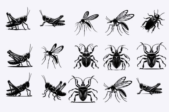 45 Insect Design Background Designs & Graphics