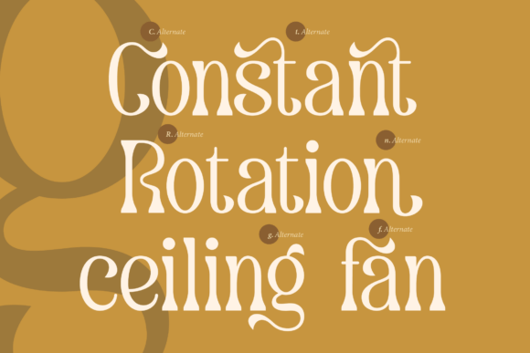 Dearshy Haislein Font - Preview 5