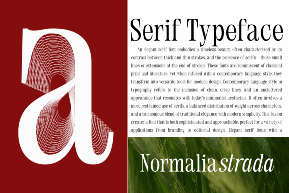Normalia Strada Font PNG with transparent background - Preview 4