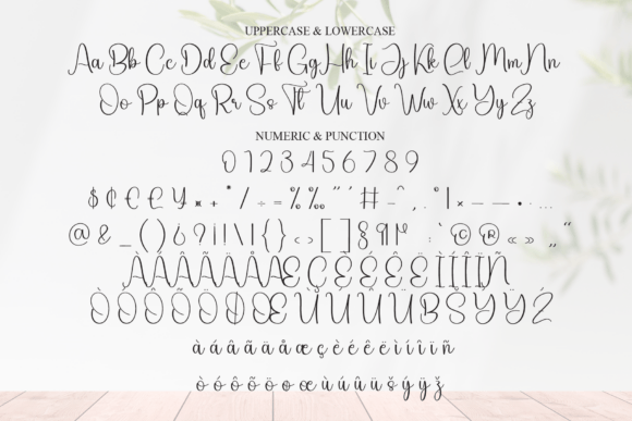 Bisney Font - Preview 6