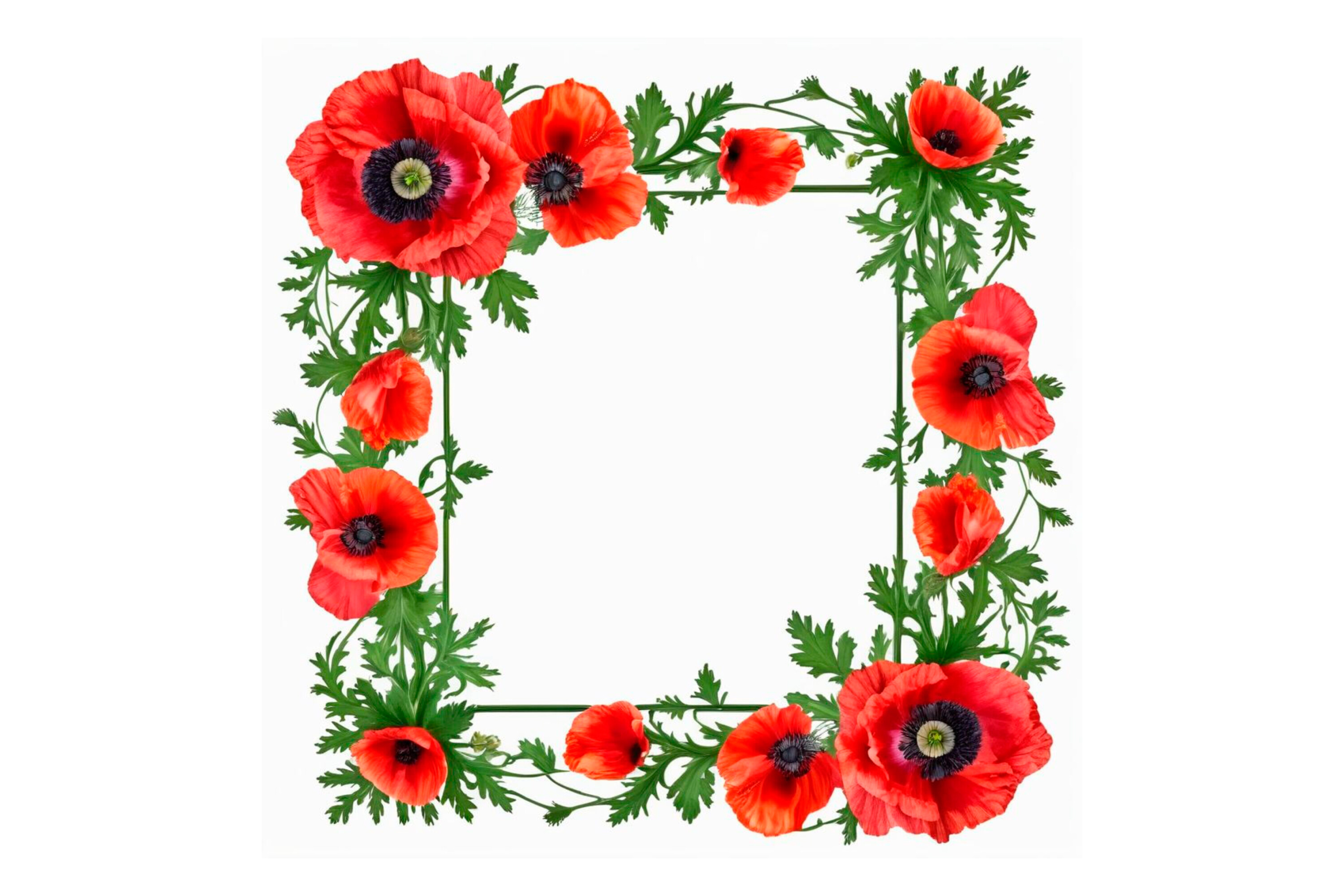 Red Poppy Flower Frame Border Floral Graphic by IrynaShancheva ...