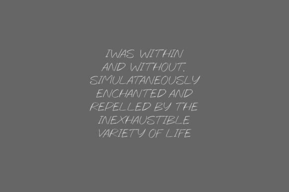 Jackquin Font PNG with transparent background - Preview 2