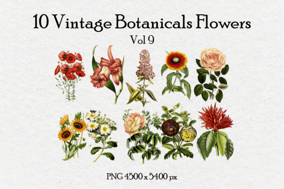 10 Antique Vintage Flowers Vo 9