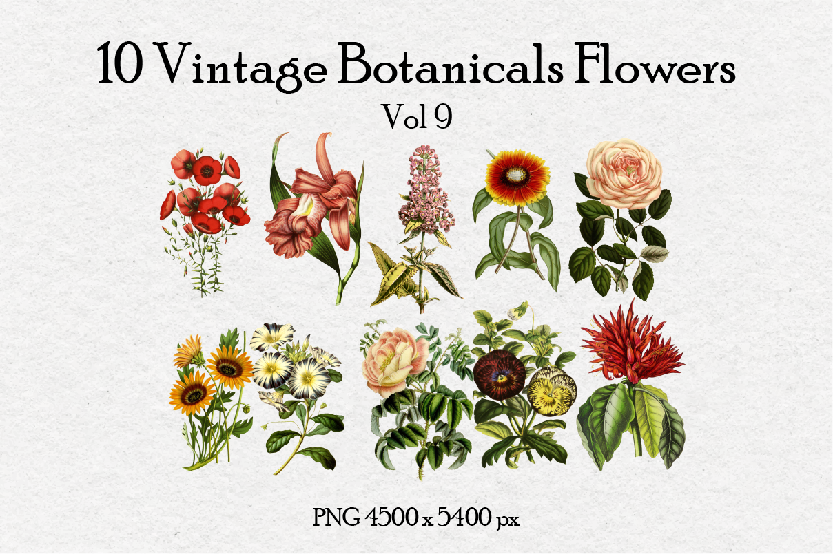 10 Antique Vintage Flowers Vo 9