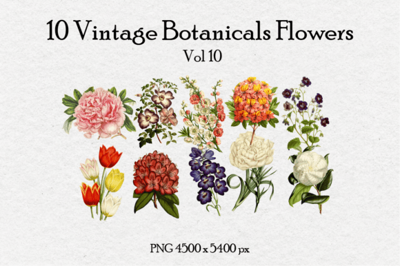 10 Antique Vintage Flowers Vol 10