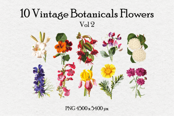 10 Antique Vintage Flowers Vol 2