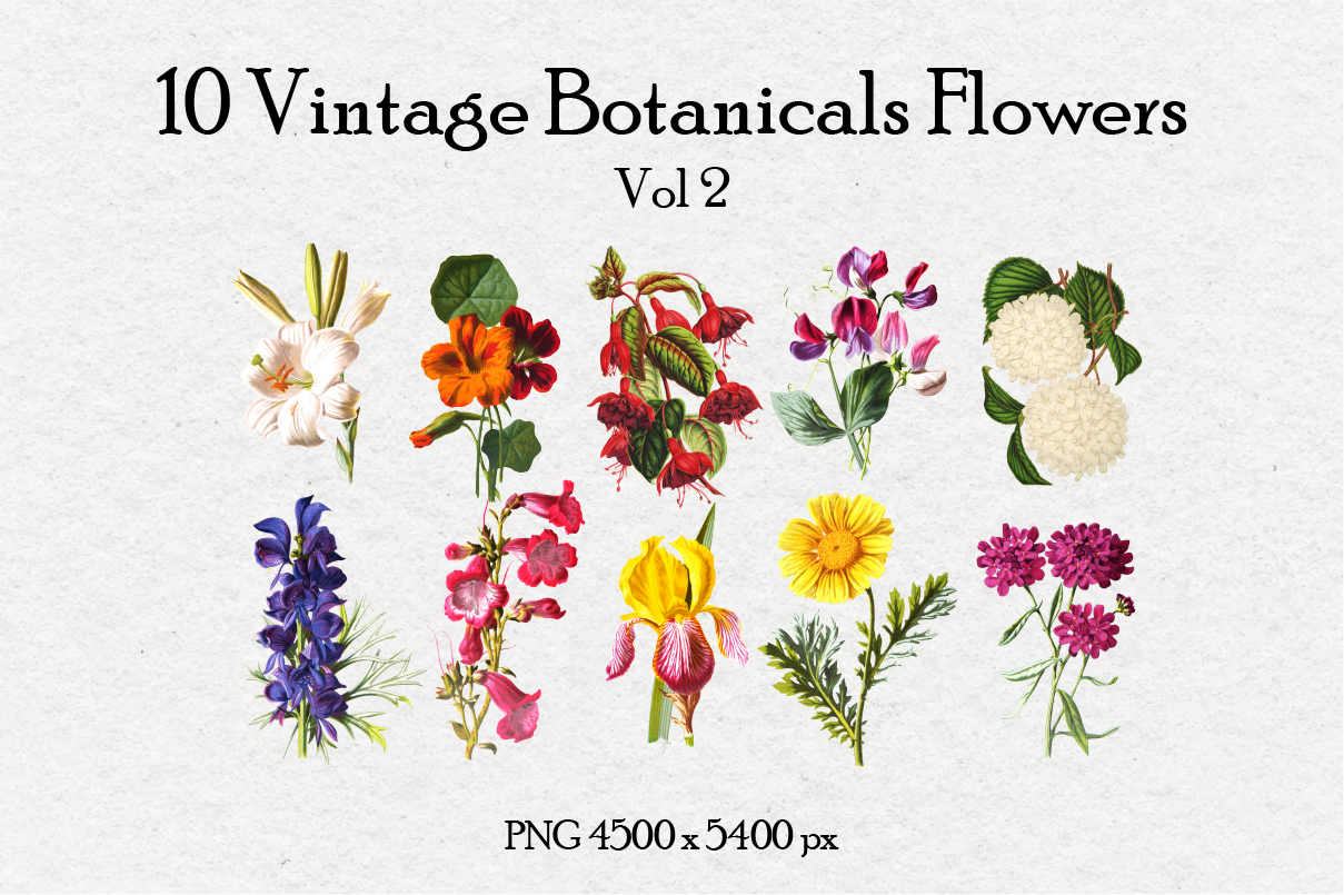 10 Antique Vintage Flowers Vol 2