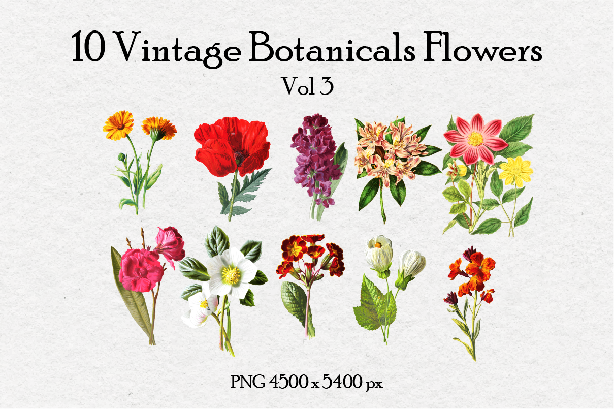 10 Antique Vintage Flowers Vol 3