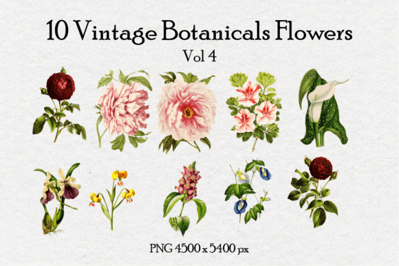 10 Antique Vintage Flowers Vol 4