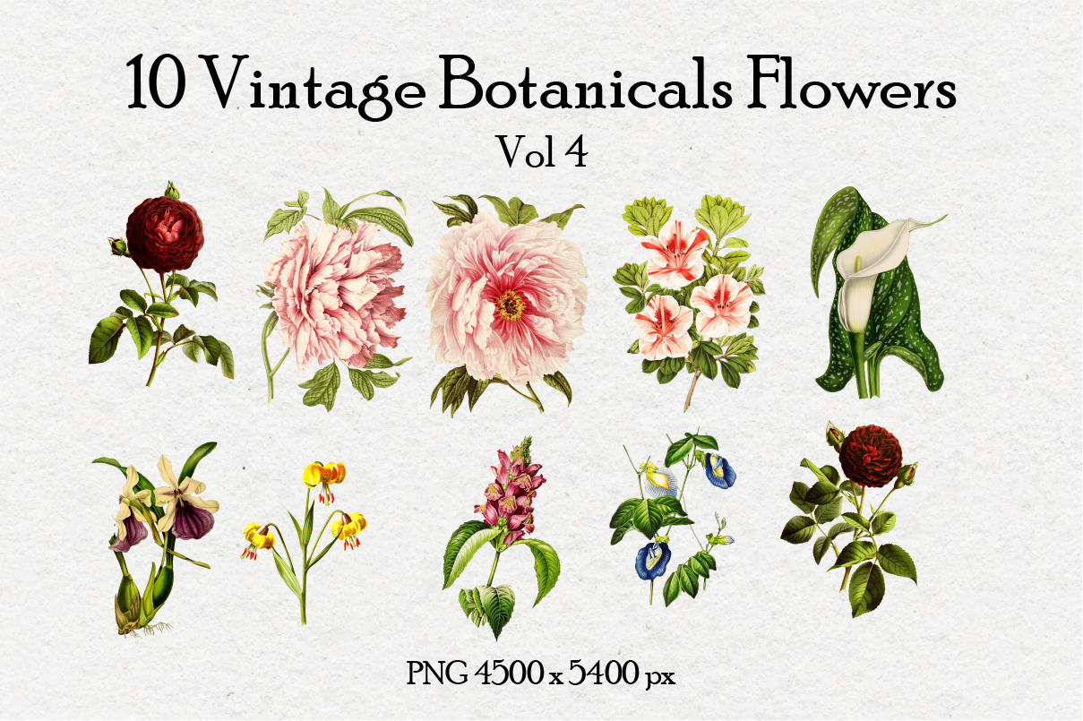 10 Antique Vintage Flowers Vol 4