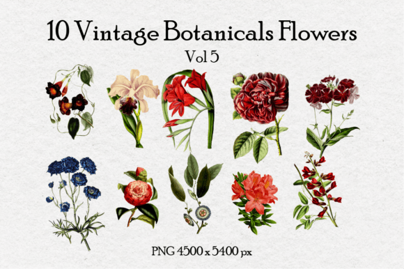 10 Antique Vintage Flowers Vol 5
