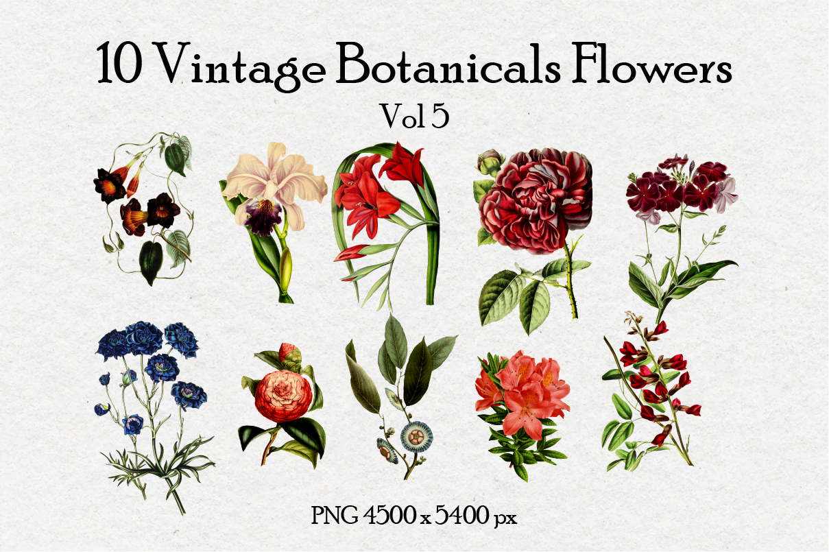 10 Antique Vintage Flowers Vol 5