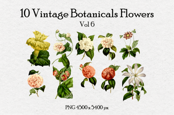 10 Antique Vintage Flowers Vol 6