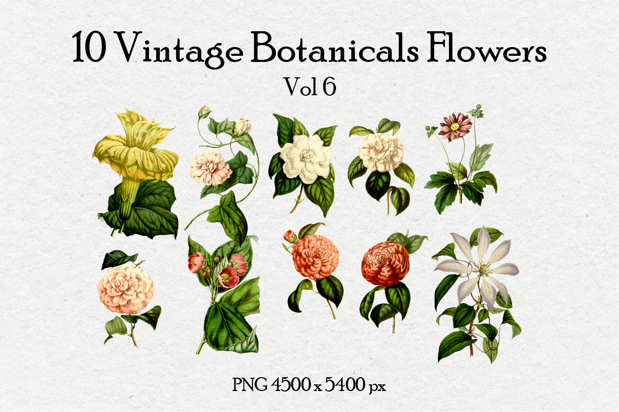 10 Antique Vintage Flowers Vol 6