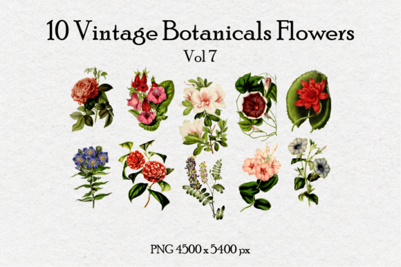 10 Antique Vintage Flowers Vol 7