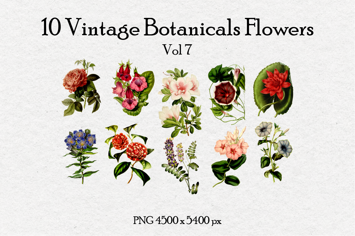 10 Antique Vintage Flowers Vol 7