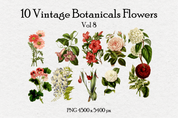 10 Antique Vintage Flowers Vol 8