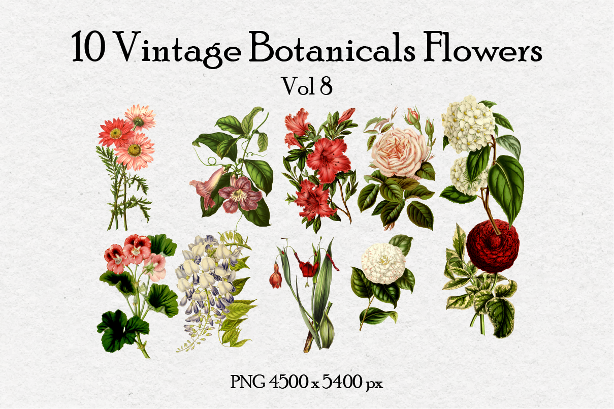 10 Antique Vintage Flowers Vol 8
