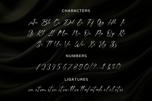 Bristy Signature Font PNG with transparent background - Preview 1