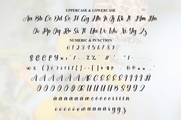 Butterfly Font - Preview 6