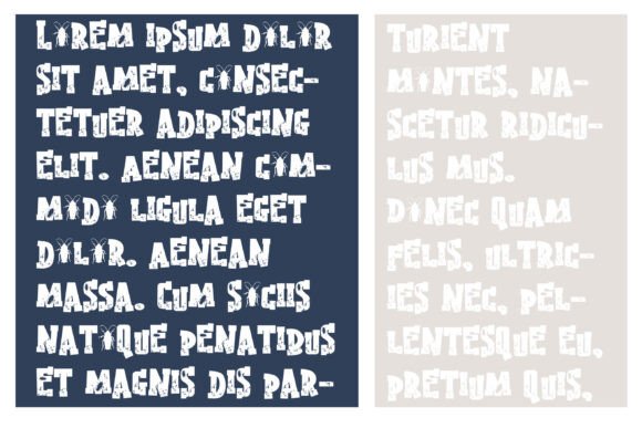 Cockroach Serif Font - Preview 2