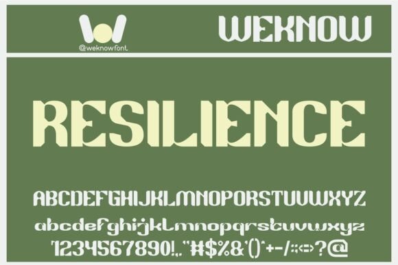 Effectiveness Font - Preview 3