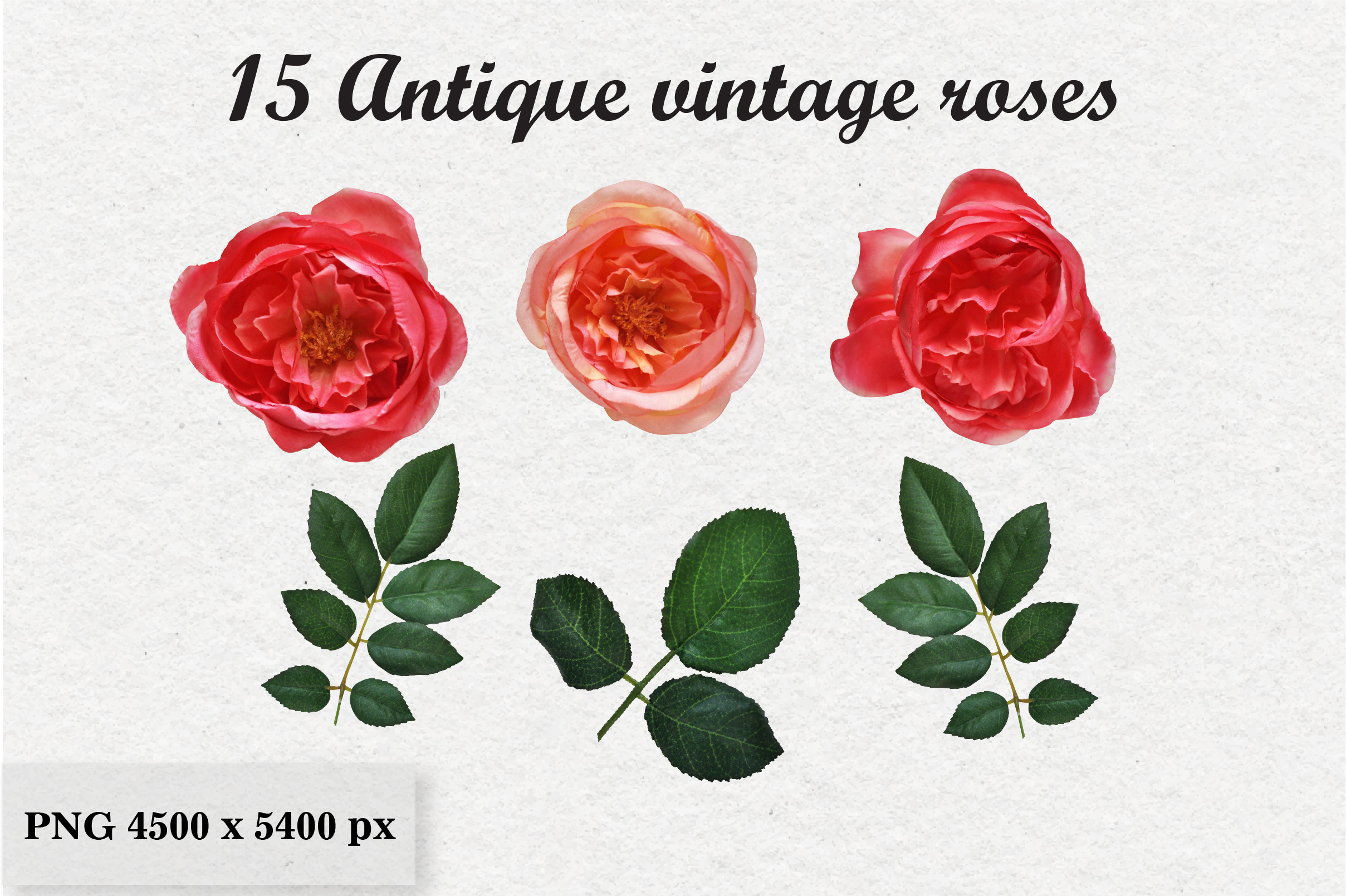 15 Antique Vintage Flowers