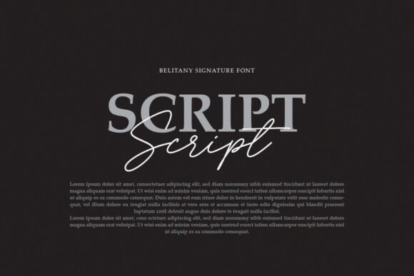 Belitany Signature Font PNG with transparent background - Preview 1
