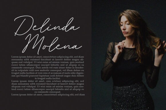 Belitany Signature Font PNG with transparent background - Preview 2