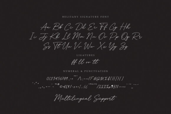Belitany Signature Font PNG with transparent background - Preview 6
