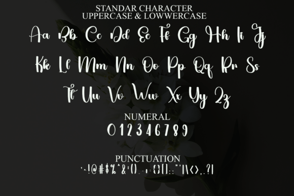 Creative Varsity Font - Preview 2