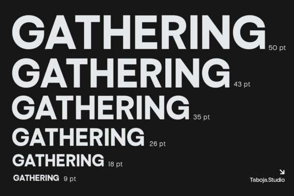 Endgraph Font - Preview 5
