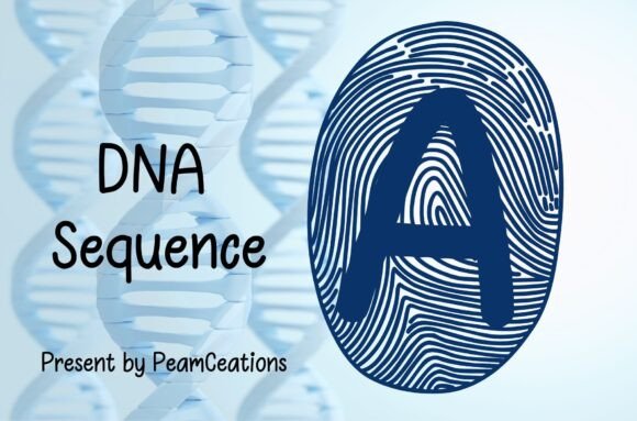 Fingerprints Font PNG with transparent background - Preview 1