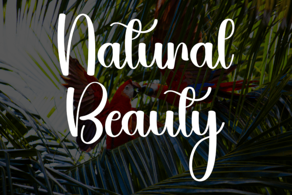 King Jungle Font PNG with transparent background - Preview 6