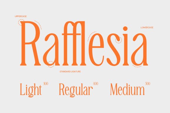 Malta Font PNG with transparent background - Preview 2