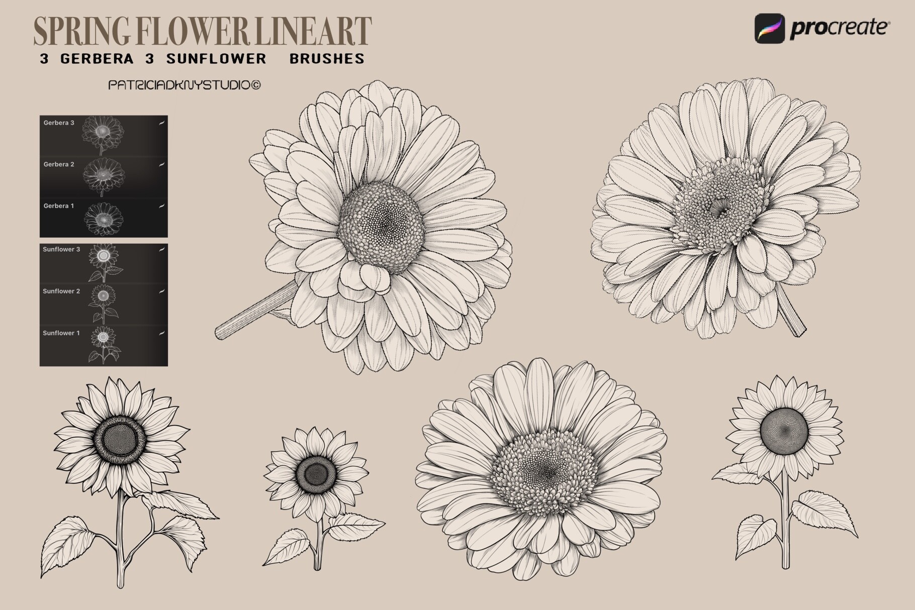 Procreate Flower Stamp Brushes - photo 6