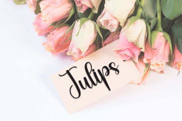 Autography Font - Preview 4