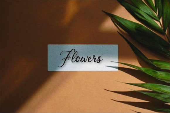 Beauty Font - Preview 3
