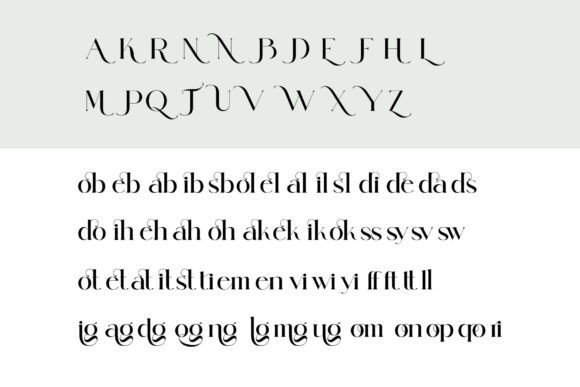 Bilgon Font - Preview 6