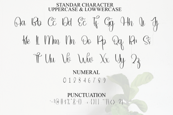 Elegant Signature Font - Preview 2