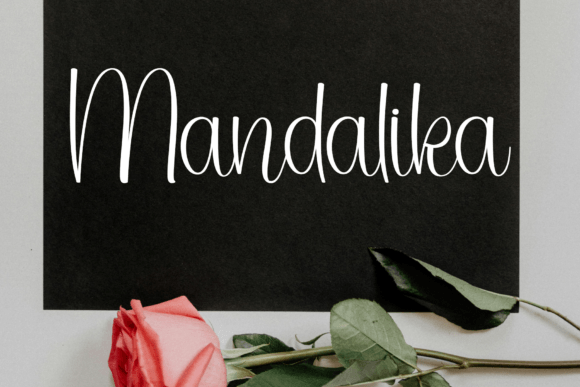 Elegant Signature Font - Preview 4