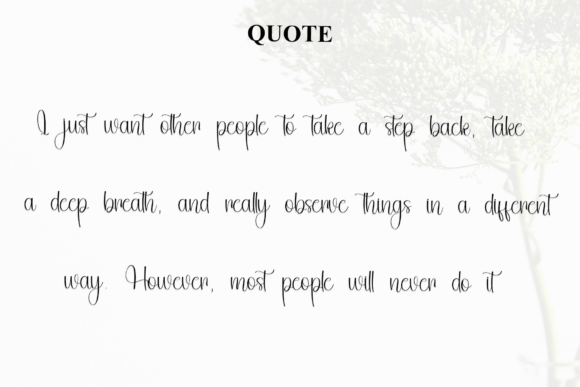 Elegant Signature Font - Preview 5