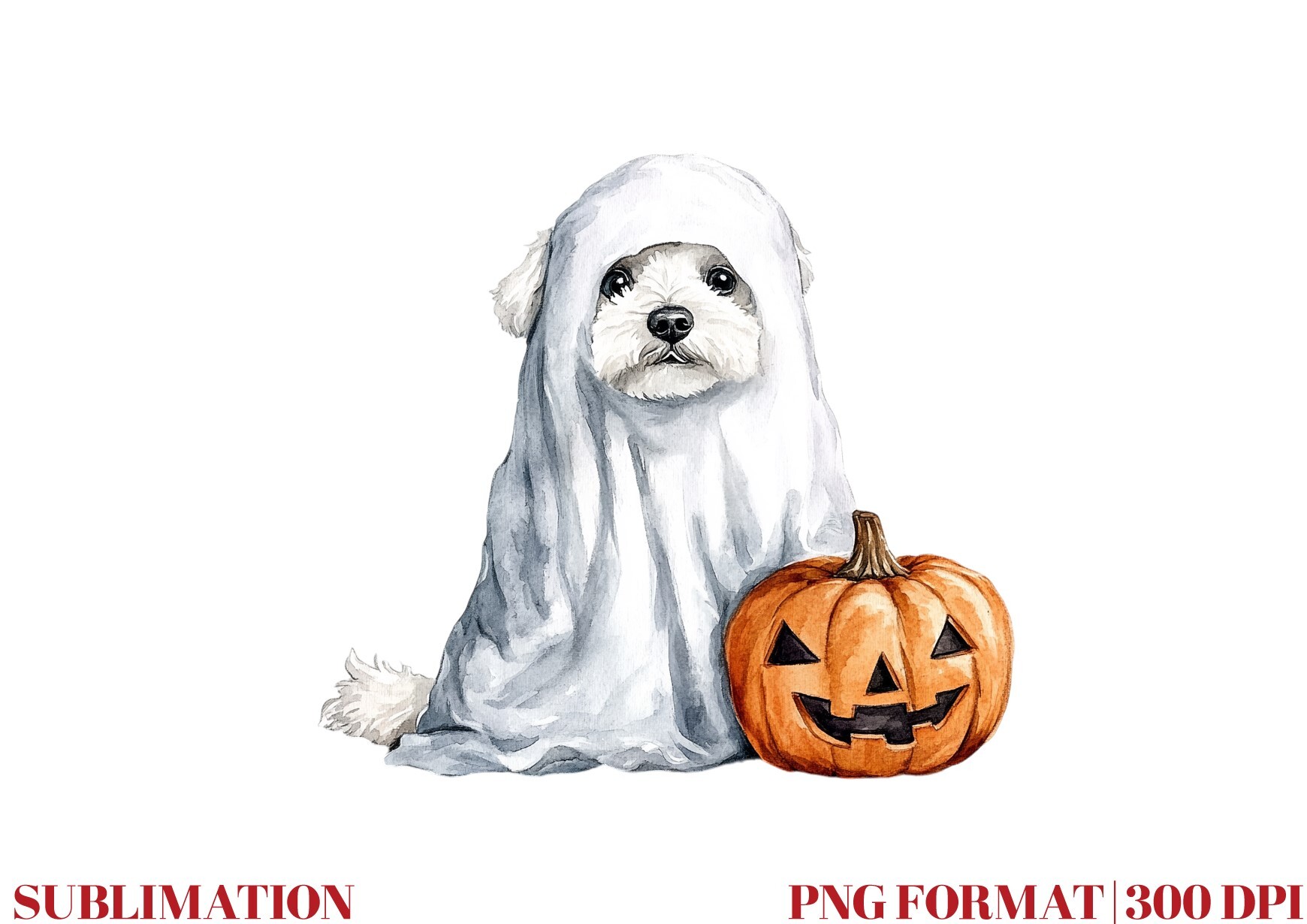 Pumpkin Bichon Frise Dog Ghost Graphic by Mirawillson · Creative Fabrica