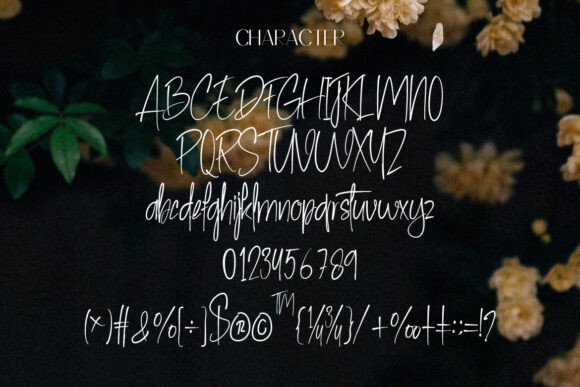 Big Dream Font - Preview 1