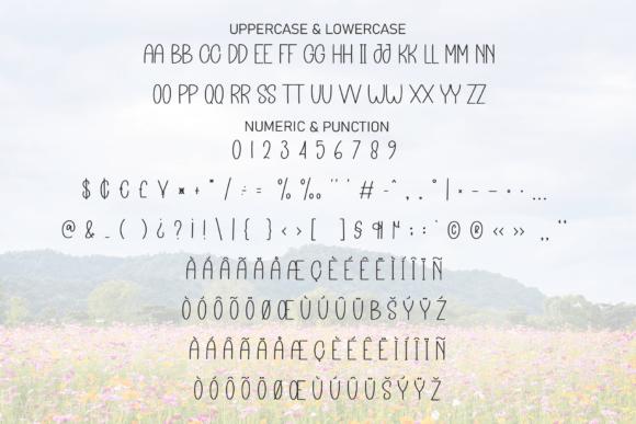 Flower Homeland Font - Preview 6