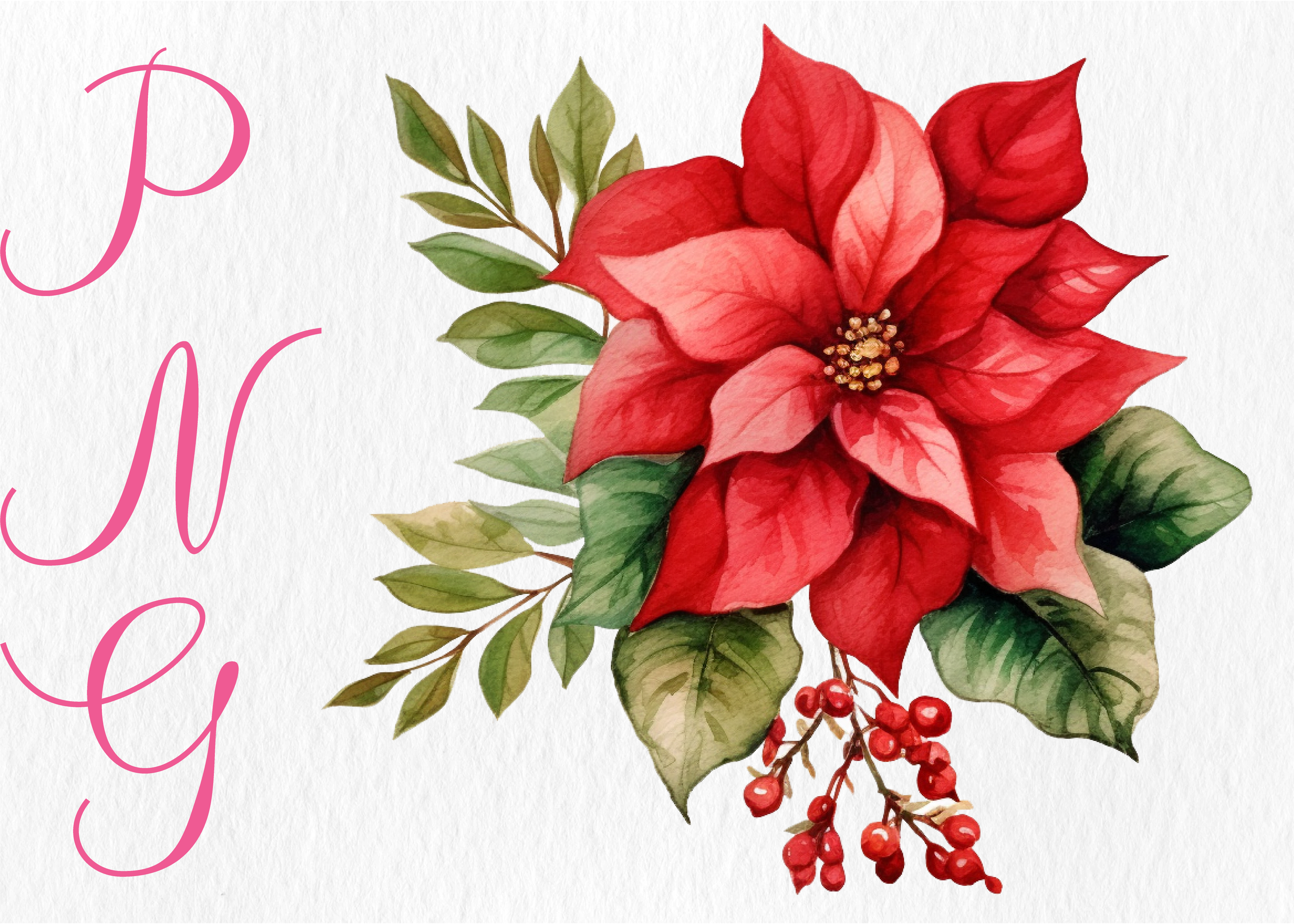 Watercolor Christmas Flower PNG Clipart Graphic by Merch Creative ...