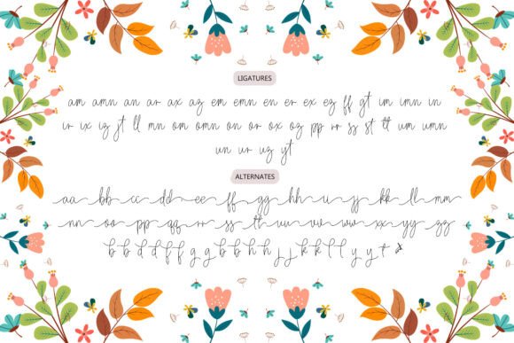 Harboline Font PNG with transparent background - Preview 5