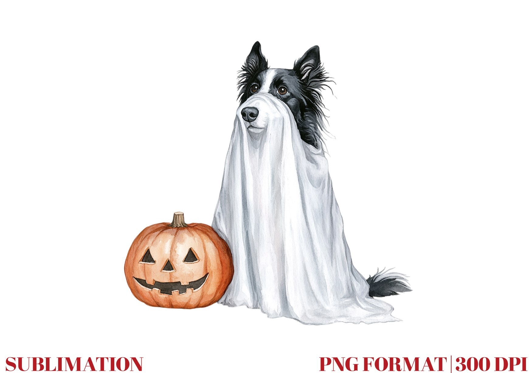 Pumpkin Collie Dog Ghost Graphic by Mirawillson · Creative Fabrica