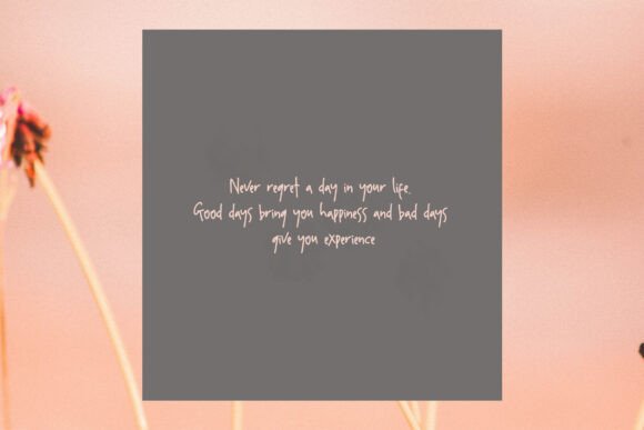 Aminola Font - Preview 4