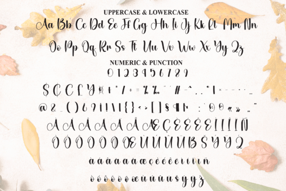 Autumn Font - Preview 6